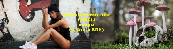 таблы Белокуриха