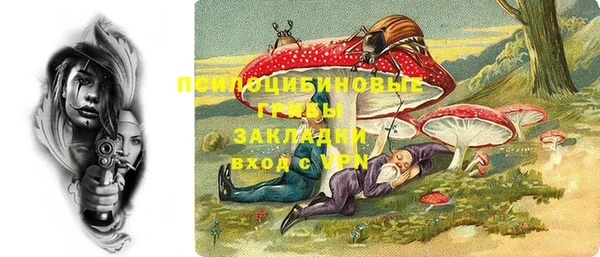таблы Белокуриха