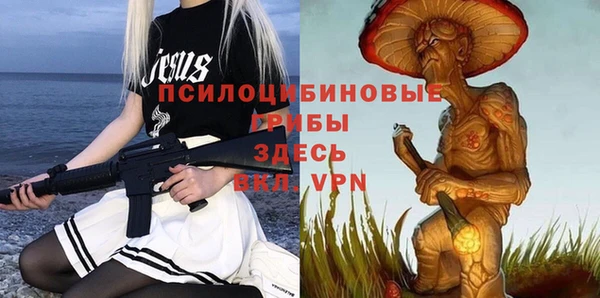 таблы Белокуриха