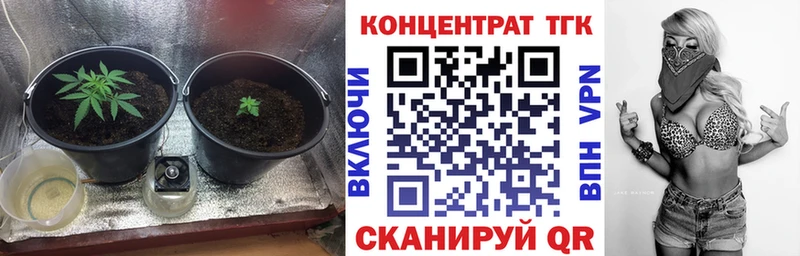 кракен рабочий сайт  Новокузнецк  ТГК концентрат  даркнет сайт 